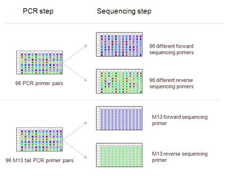 determining if sequence pcr products are high quality